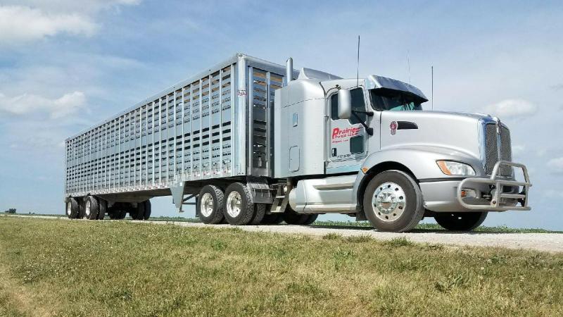 2022 EBY Trans Pork Advantage Aluminum Livestock Trailer 2022 EBY Trans Pork Advantage Aluminum Livestock Trailer
