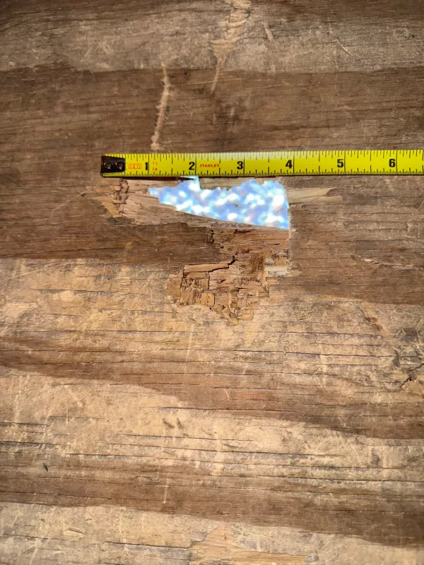 used Car Haulers / Racing Trailers American Hauler  for sale, in Las Vegas, NV Thumbnail 8