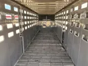new Stock / Stock Combo Trailers RawMaxx  for sale, in Petty, TX Thumbnail 9