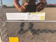 new Cargo (Enclosed) Trailers T-Rex Trailers  for sale, in Petty, TX Thumbnail 14