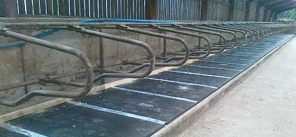 new Other Trailers Mayo Mattress  for sale, in Ettrick, WI Thumbnail 4