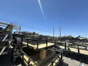 new Utility Trailers Davidson Trailers  for sale, in Tucson, AZ Thumbnail 2