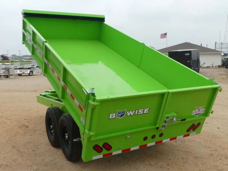 2025 BWISE