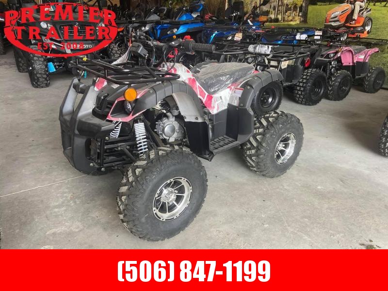 2021 Tao youth quad ATV 2021 Tao youth quad ATV