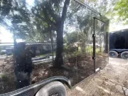 new Other Trailers Diamond Cargo  for sale, in Kenneth City, FL Thumbnail 8