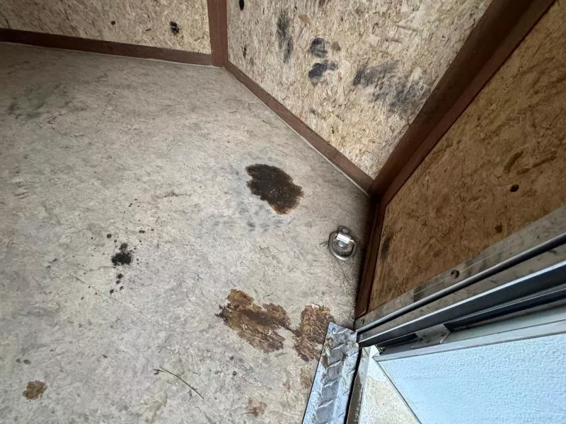 used Cargo (Enclosed) Trailers Haulmark Trailers  for sale, in Edmonton, AB Thumbnail 10