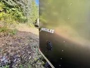 new Cargo (Enclosed) Trailers Homesteader Trailers  for sale, in Ballston Lake, NY Thumbnail 7