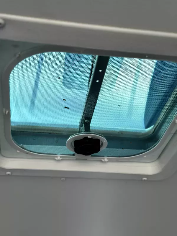 used Cargo (Enclosed) Trailers Alcom-Stealth  for sale, in West Linn, OR Thumbnail 14