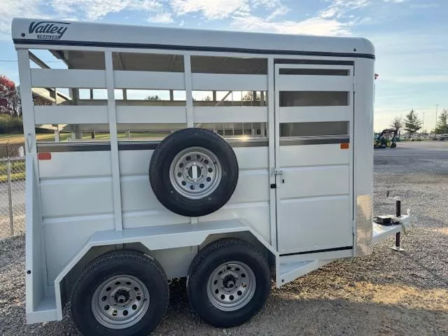 new Ice / Tiny Houses Valley Trailers  for sale, in Beckley, WV Thumbnail 4