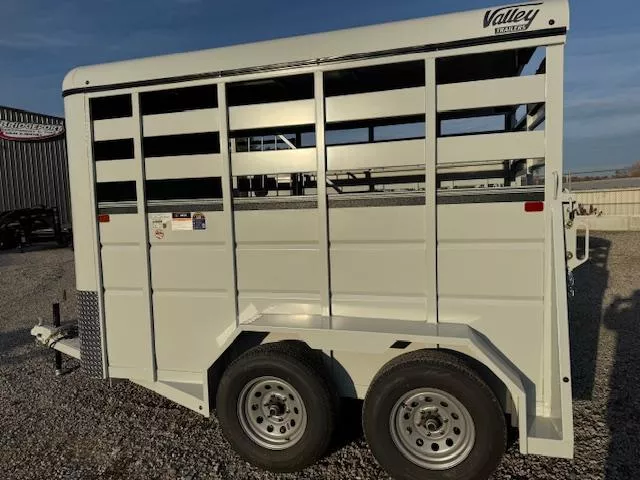 new Ice / Tiny Houses Valley Trailers  for sale, in Beckley, WV Thumbnail 3
