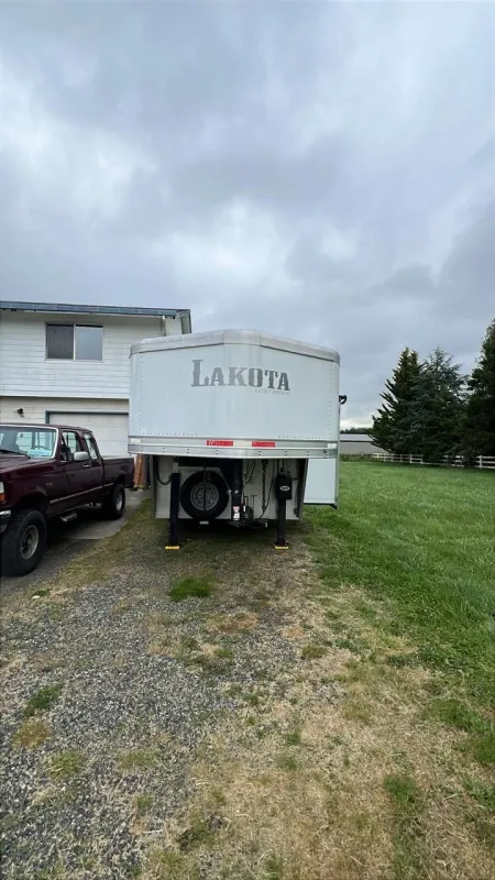 2019 Colt Horse & Livestock