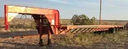 used Equipment / Flatbed Trailers Arizona  for sale, in Snowflake, AZ Thumbnail 1