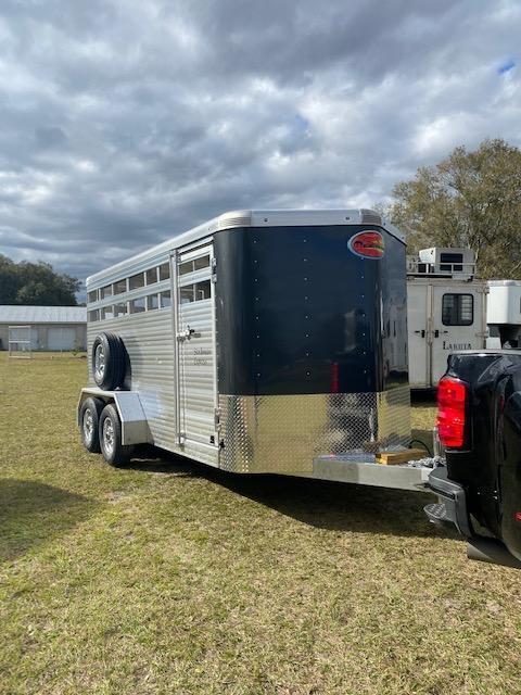 2022 Sundowner Trailers Stockman 16' BP Livestock Trailer ON ORDER 2022 Sundowner Trailers Stockman 16' BP Livestock Trailer ON ORDER