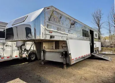 2002 PEGASUS 6 HORNS HEAD TO HEAD 