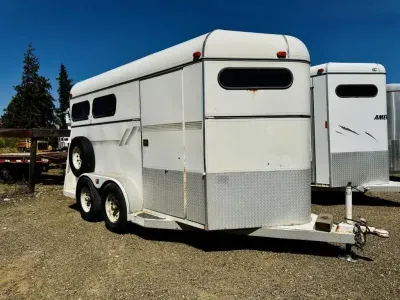 1996 AMERICAN 2 HORSE BP 