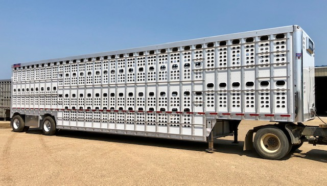2019 EBY Bull Ride Livestock 2019 EBY Bull Ride Livestock