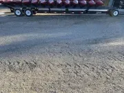 new Other Trailers Other  for sale, in Champaign, IL Thumbnail 2