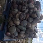 Arkanas Cobbler Stone Arkanas Cobbler Stone GNhUye