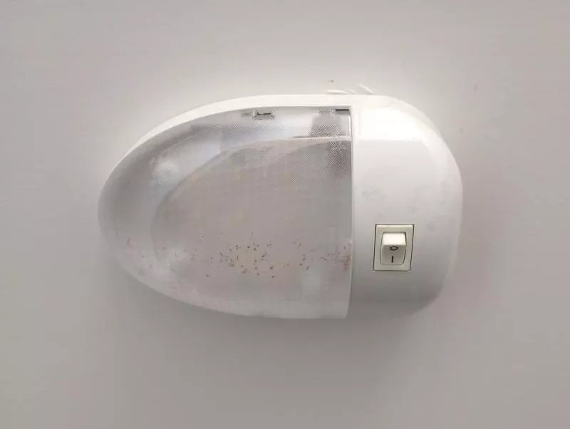 used Snowmobile Trailers Cargo Pro  for sale, in Manchester, ME Thumbnail 14