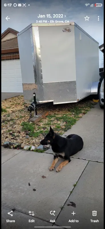 Quality Cargo Trailer