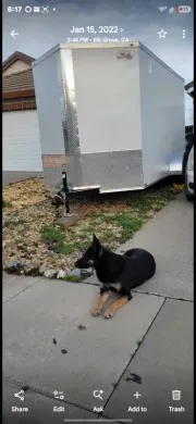 Quality Cargo Trailer