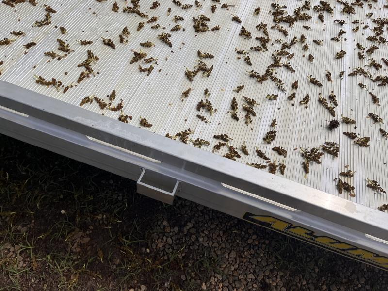 new Utility Trailers Aluma Other for sale, in Ozark, AL Thumbnail 4