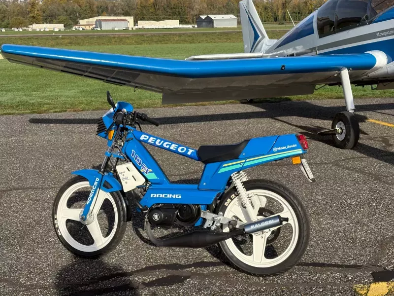 Best trailer in my garden