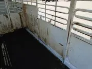 used Stock / Stock Combo Trailers Other  for sale, in Scottsbluff, NE Thumbnail 12