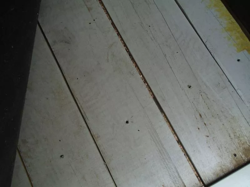 new Stock / Stock Combo Trailers Titan Trailer  for sale, in Scottsbluff, NE Thumbnail 9