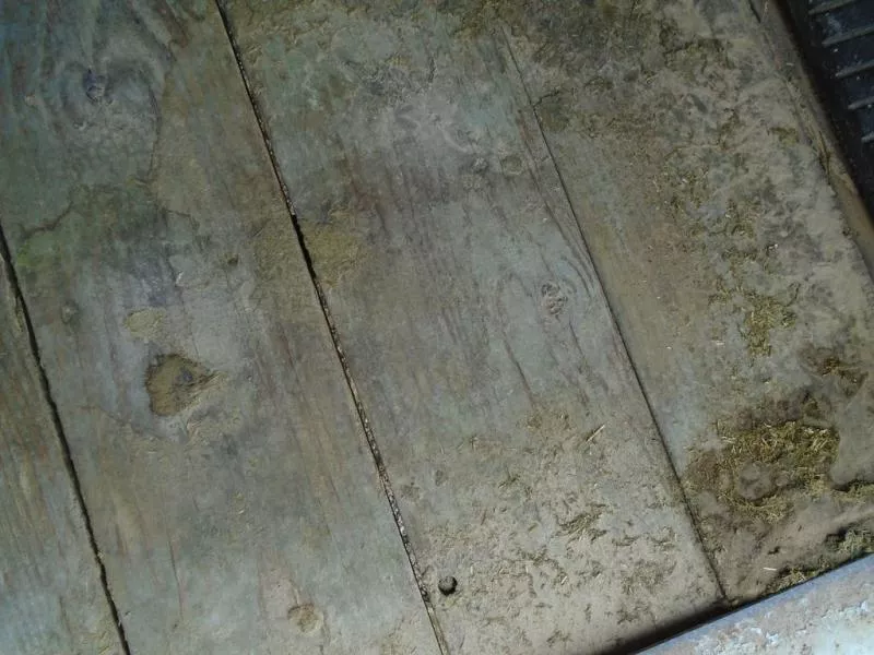 used Stock / Stock Combo Trailers Titan Trailer  for sale, in Scottsbluff, NE Thumbnail 13