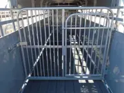 new Stock / Stock Combo Trailers Big Bend  for sale, in Scottsbluff, NE Thumbnail 9