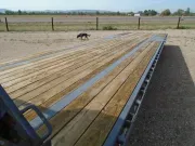 used Equipment / Flatbed Trailers Horizon Trailers  for sale, in Scottsbluff, NE Thumbnail 8