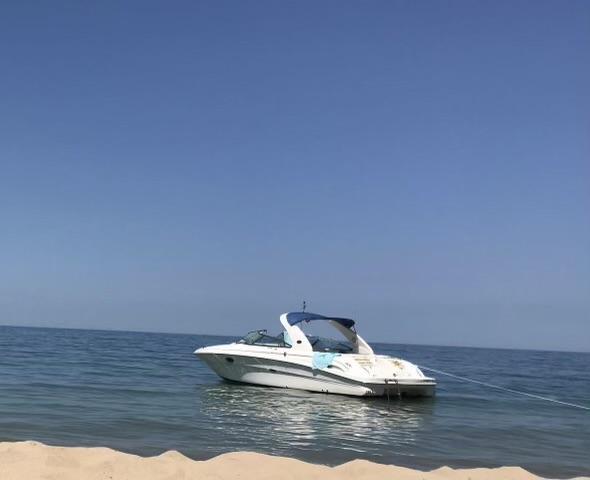 2003 Sea Ray 290 Bowrider 2003 Sea Ray 290 Bowrider