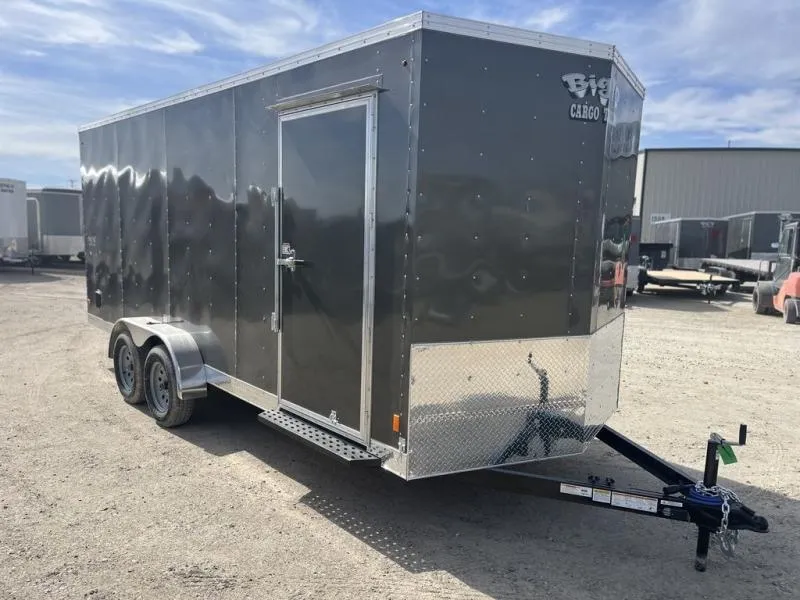 2026 AMP