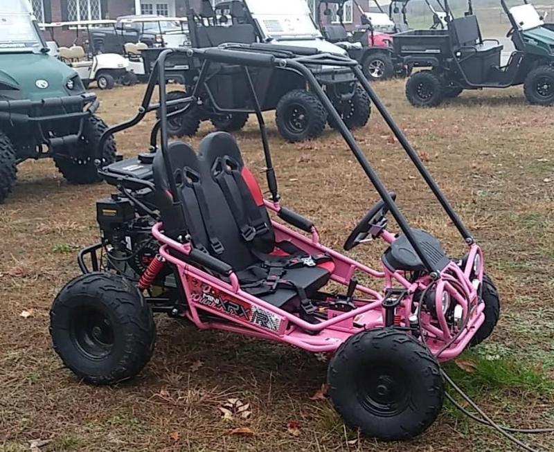 Winter Special! TrailMaster Mini XRX+YOUTH Go Kart ages 4-9 Pink Winter Special! TrailMaster Mini XRX+YOUTH Go Kart ages 4-9 Pink
