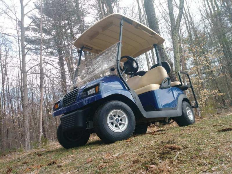 Custom Navy Blue Metallic Phantom Club Car Precedent 4 Pass Elect Golf Cart w/WARRANTY Custom Navy Blue Metallic Phantom Club Car Precedent 4 Pass Elect Golf Cart w/WARRANTY