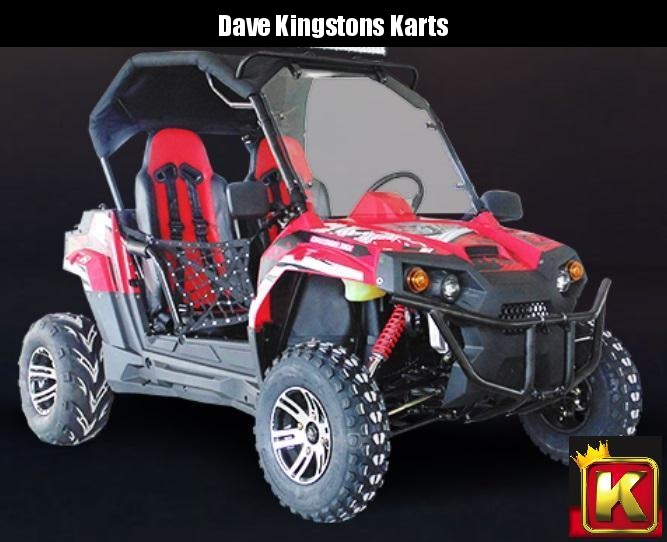 TrailMaster Challenger 300EX EFI PREMIUM 45 MPH TeenAdult SPORT UTV