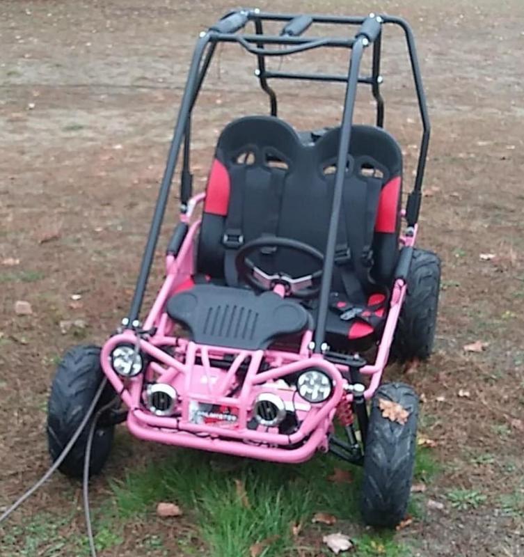 Trailmaster Mini XRX Go Kart Youth size ages 4-9 Pink 12 MPH Trailmaster Mini XRX Go Kart Youth size ages 4-9 Pink 12 MPH