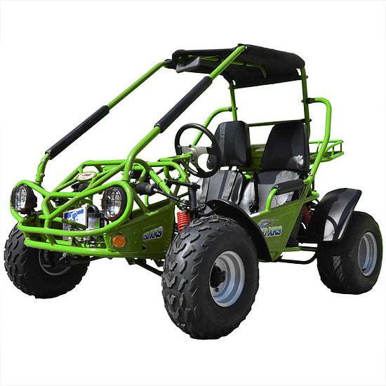 Fall Special! TrailMaster 200E XRS EFI Teen-Adult Go Kart 43 MPH!!! Green Fall Special! TrailMaster 200E XRS EFI Teen-Adult Go Kart 43 MPH!!! Green