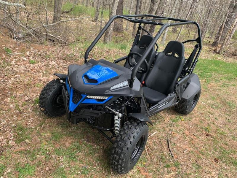 Trailmaster Cheetah 200 EFI Go Kart Teen-Adult 38 MPH SPORT UTV BLUE Trailmaster Cheetah 200 EFI Go Kart Teen-Adult 38 MPH SPORT UTV BLUE