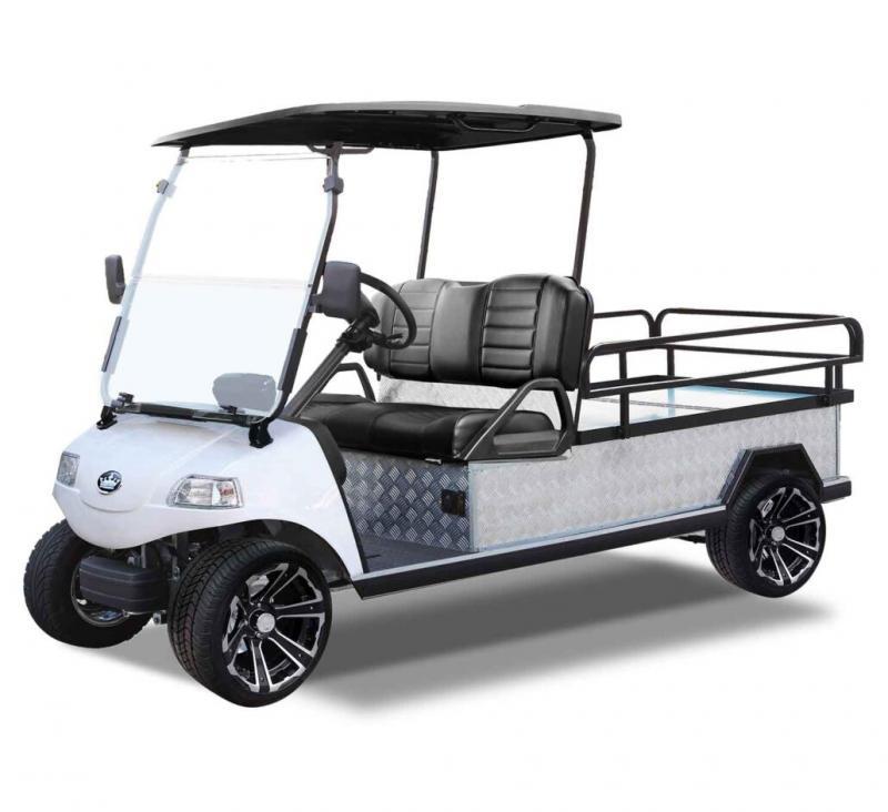 Winter clearance! Evolution LITHIUM Turfman 1000 Street Legal Utility