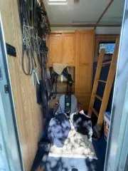 used Horse Trailers Gore Trailers  for sale, in Yorktown, VA Thumbnail 2
