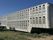 2007 Wilson LIVESTOCK 