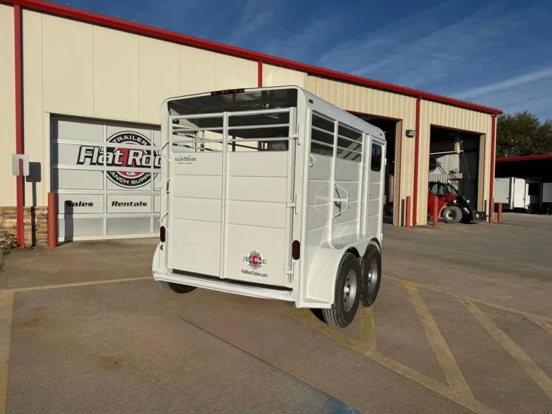2026 Calico
