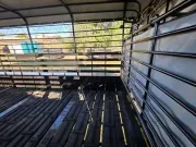 new Stock / Stock Combo Trailers Gooseneck  for sale, in Fayetteville, TN Thumbnail 2
