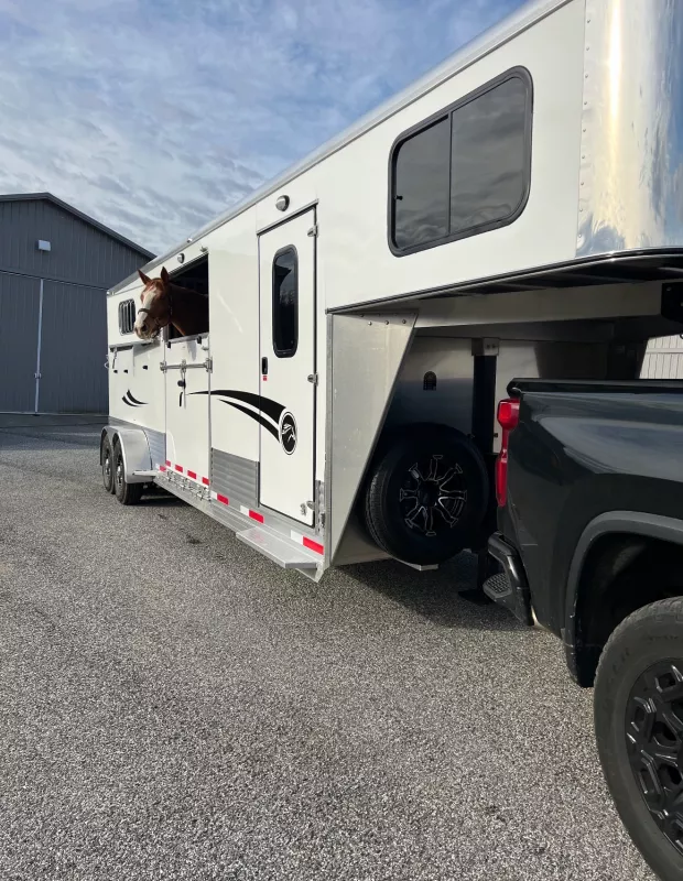 used Horse Trailers Shadow Trailers  for sale, in Frederick, MD Thumbnail 6