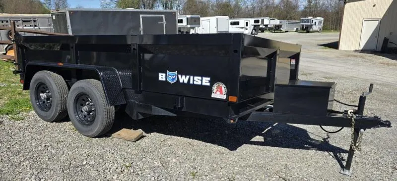 2025 BWISE