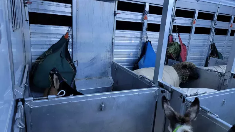 used Stock / Stock Combo Trailers Exiss Trailers  for sale, in Bardstown, KY Thumbnail 3