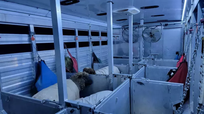 used Stock / Stock Combo Trailers Exiss Trailers  for sale, in Bardstown, KY Thumbnail 2