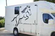 used Horse Trailers Ram  for sale, in Santa Barbara, CA Thumbnail 2